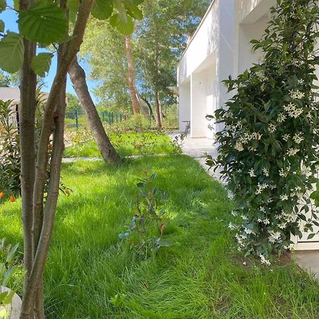 Villa Hanna Улцинь Екстер'єр фото